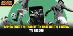App Cá Cược Thể Thao Uy Tín Nhất Nhì Thị Trường Tại XOSO66